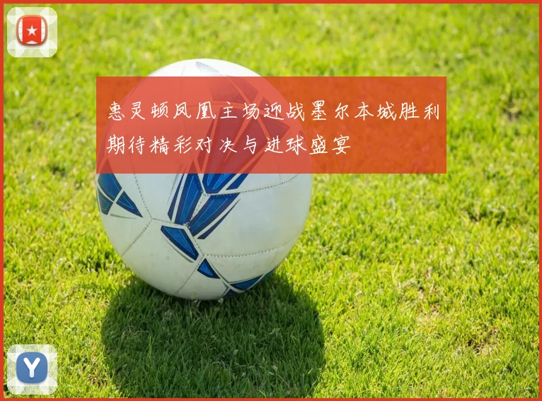 惠灵顿凤凰主场迎战墨尔本城胜利期待精彩对决与进球盛宴