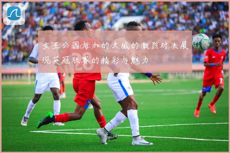 女王公园与加的夫城的激烈对决展现英冠联赛的精彩与魅力